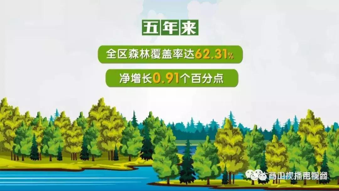 广西生态：“金字招牌”越擦越亮绿水青山变成“金饭碗”