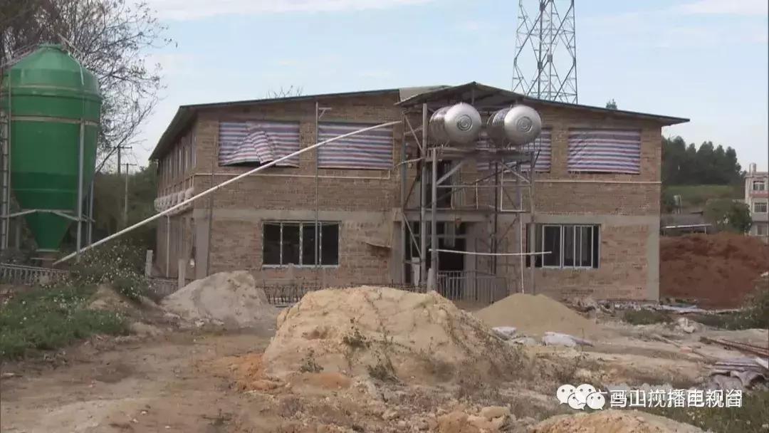 广西生态：“金字招牌”越擦越亮绿水青山变成“金饭碗”