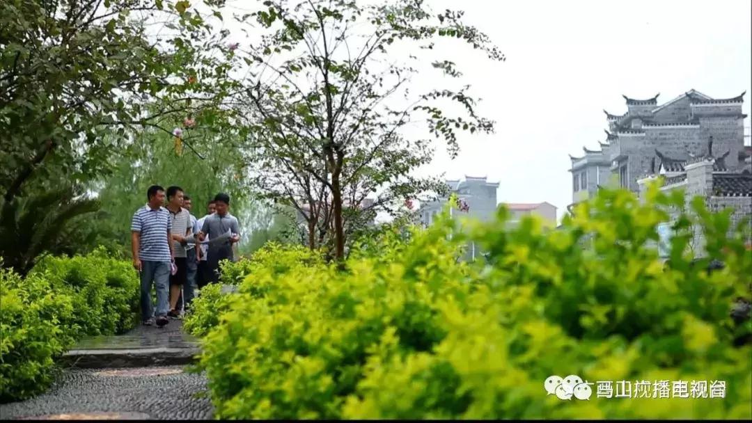 广西生态：“金字招牌”越擦越亮绿水青山变成“金饭碗”