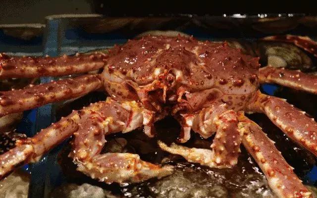 这些“萧山经典菜”，你家的“过年饭”上还能找到吗？