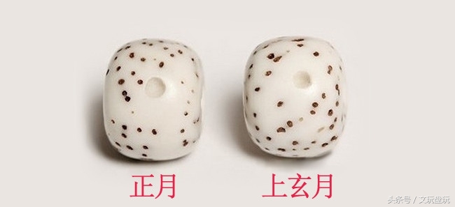 星月菩提最靠谱的挑选方法,星月菩提该怎么选