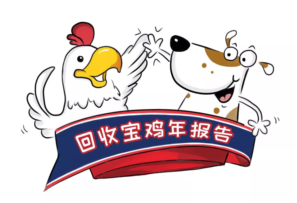 回收行业内幕披露，尽在回收宝鸡年报告！