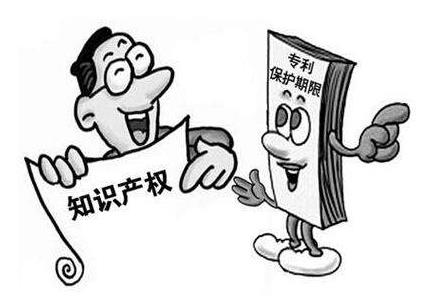 龙岗区知识产权维护奖励申请,深圳市知识产权项目有哪些