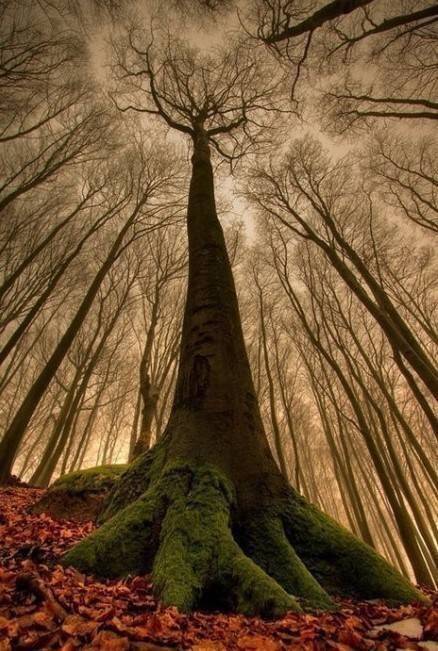 哲理文字图唯美图片,人生哲理的图片大全唯美