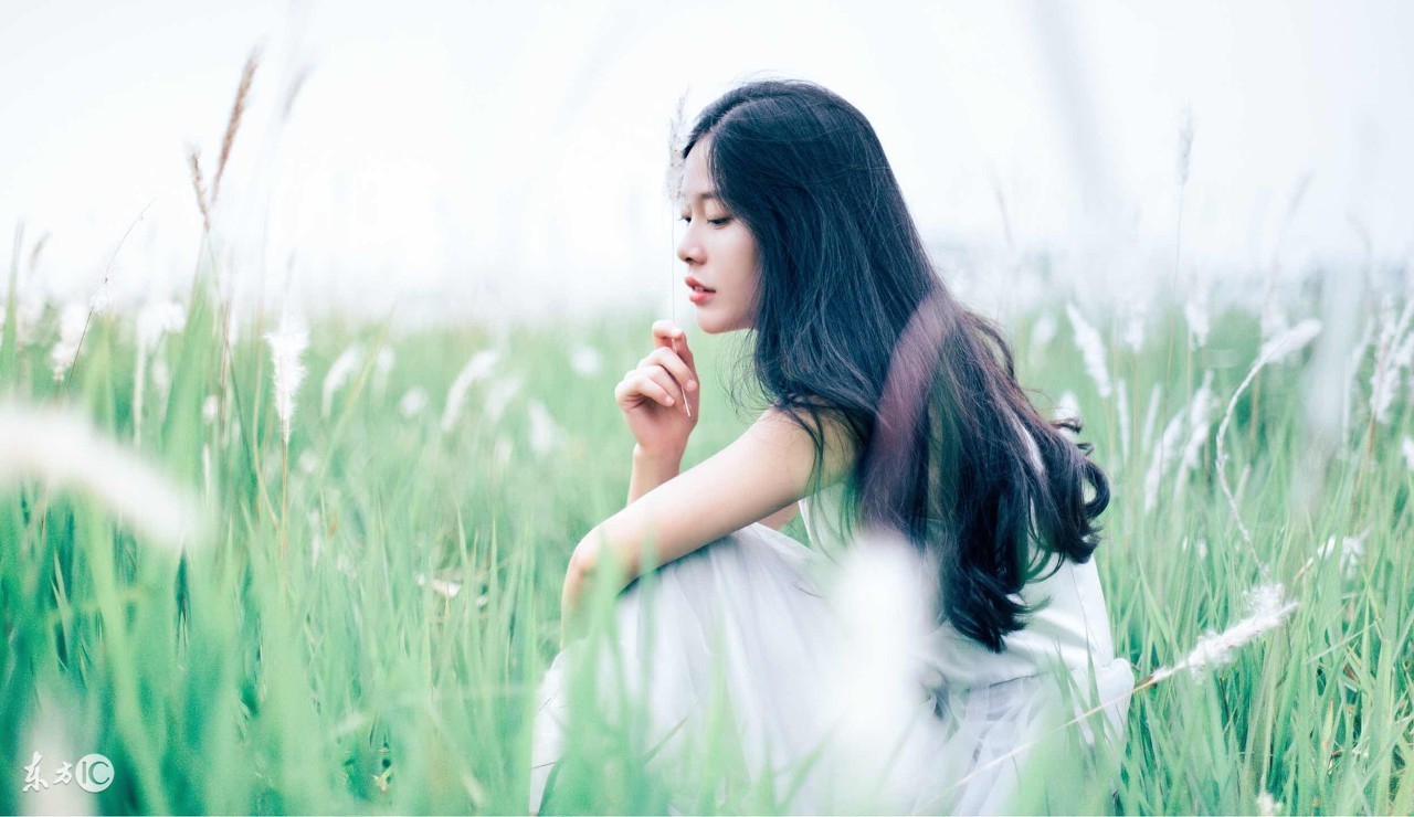 情商低智商低适合做什么,智商低情商低怎么办