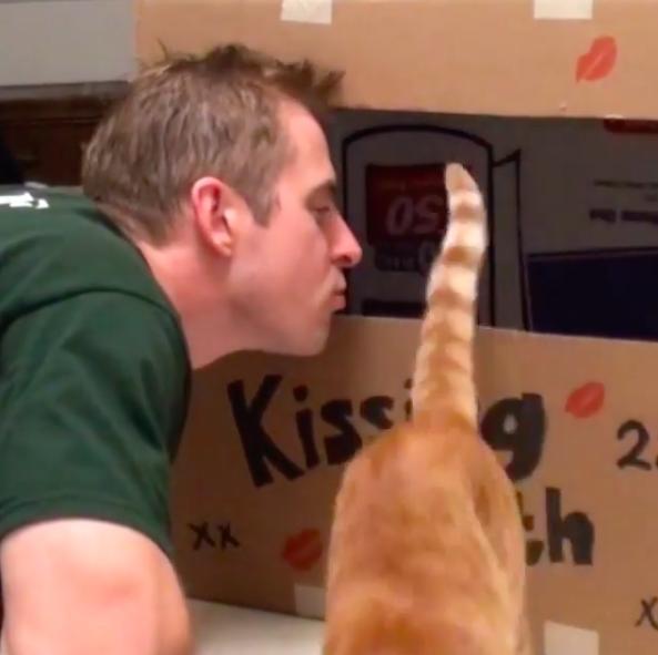 萌橘猫,萌橘猫老板