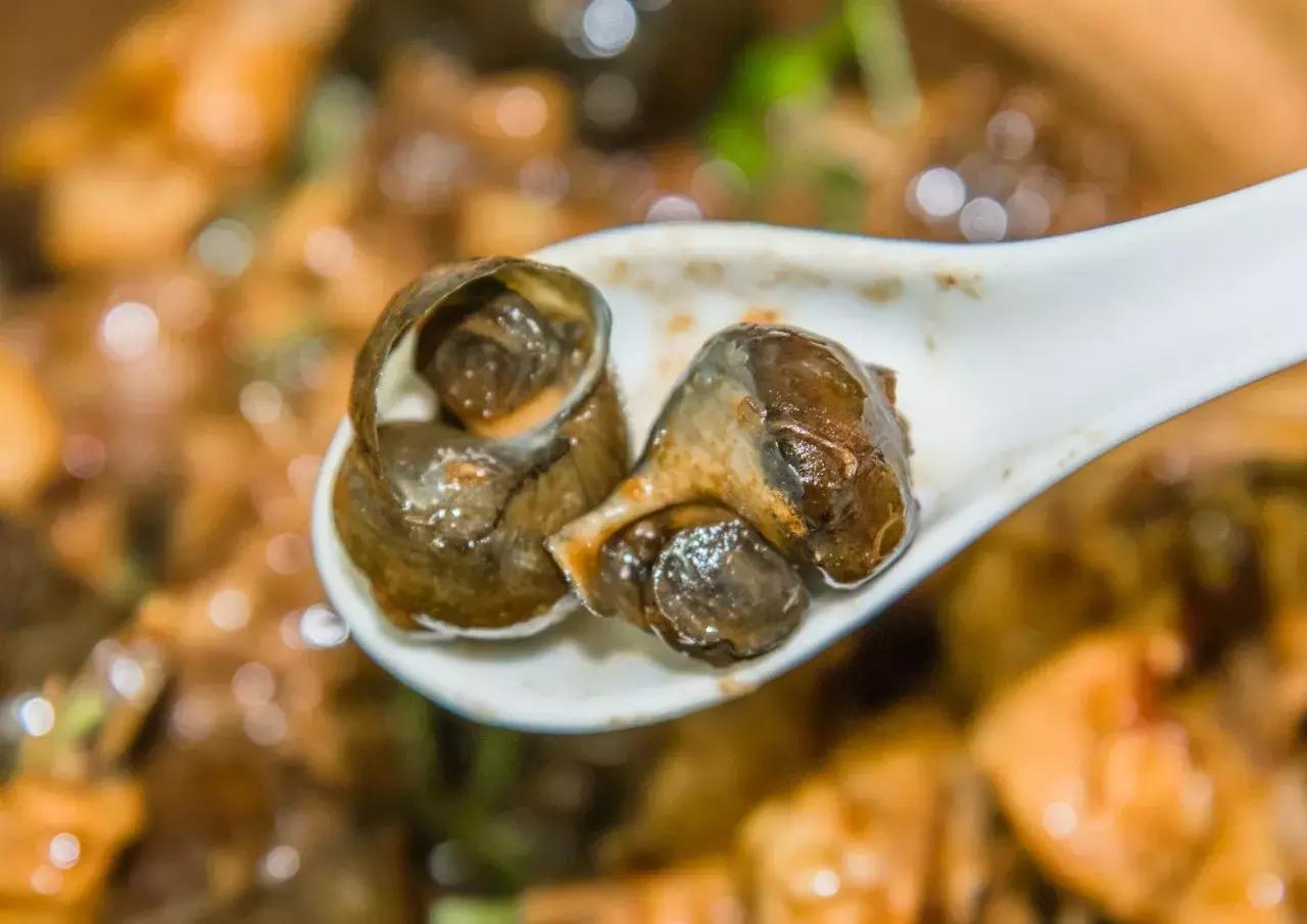 同福路金辉田螺鸡煲地址,同福西田螺鸡煲