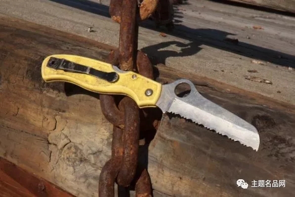 蜘蛛RescueAssistAtlanticSalt测评:同时拥有是怎样的体验