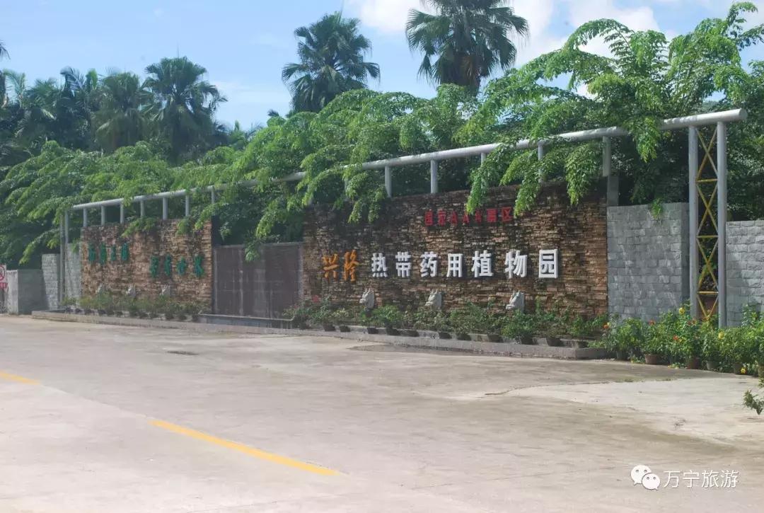 购物清单春节,春节购物清单竖版