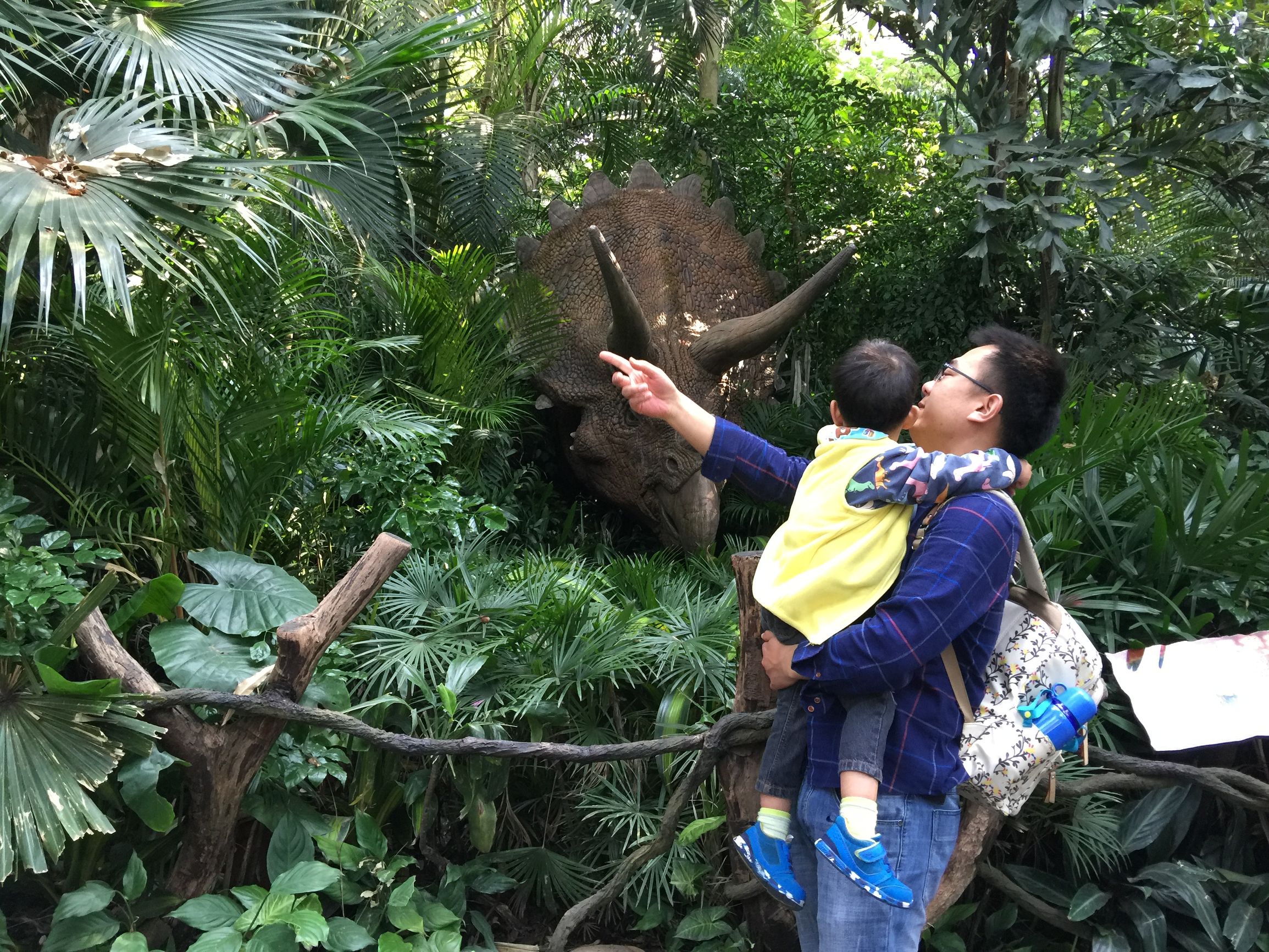 广州长隆野生动物园游玩新攻略,最近广州长隆野生动物园攻略