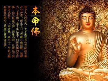 属猪和属狗的本命佛是哪位佛祖,每个人都可以戴自己的本命佛吗