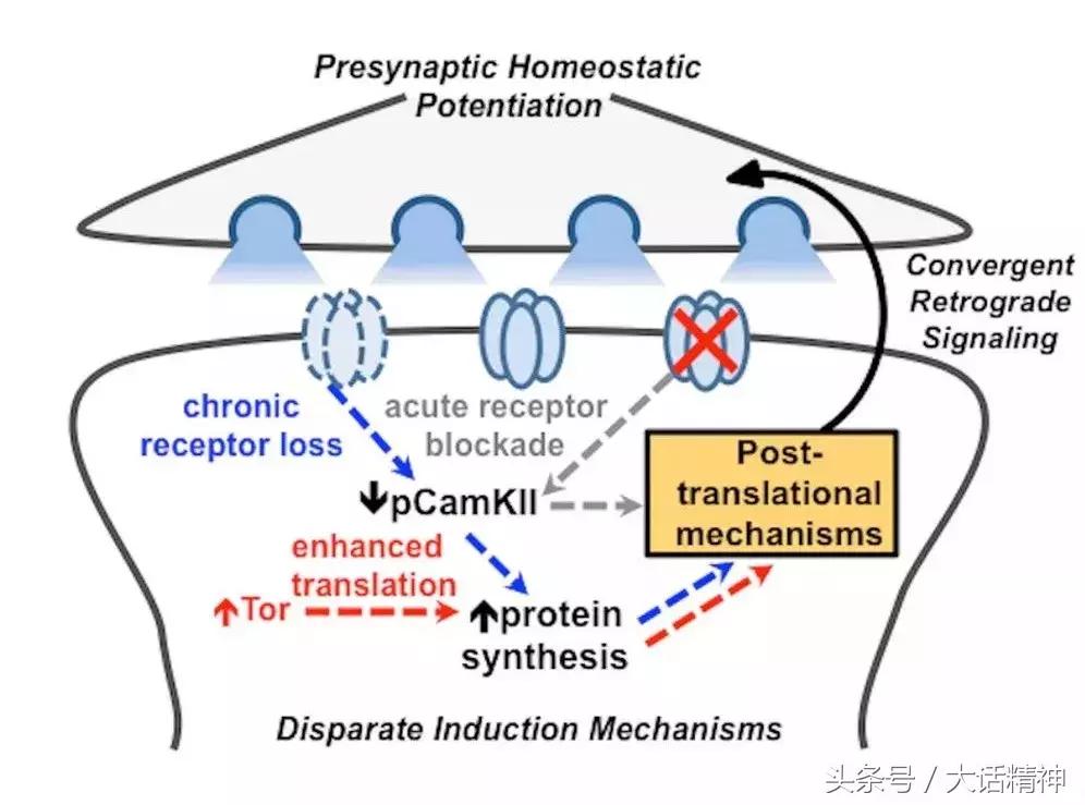 精神分裂症自愈的秘密,精神分裂症有什么好方法吗