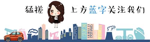 本田思域为什么被疯狂diss,思域为什么这么多人都吐槽