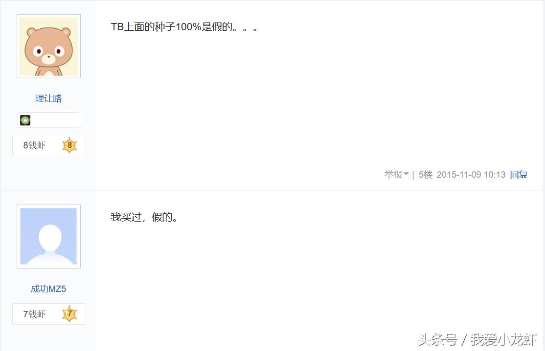 伊乐藻种子哪里买,伊乐藻种子是假的不发芽