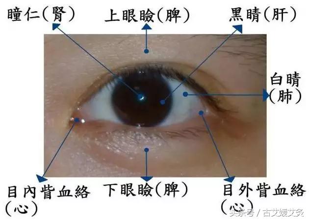 去眼袋的艾灸方法,孩子眼圈黑眼袋大怎么艾灸
