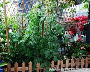 好的小本创业门路有哪些,最适合年轻人的小本创业项目推荐