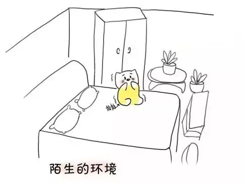 宝宝晚上认生认床怎么解决,宝宝回家过年认生怎么办