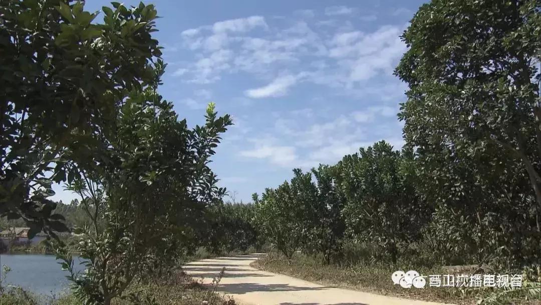 广西生态：“金字招牌”越擦越亮绿水青山变成“金饭碗”