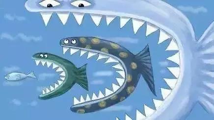 三五互联公司董事长,三五互联董事长