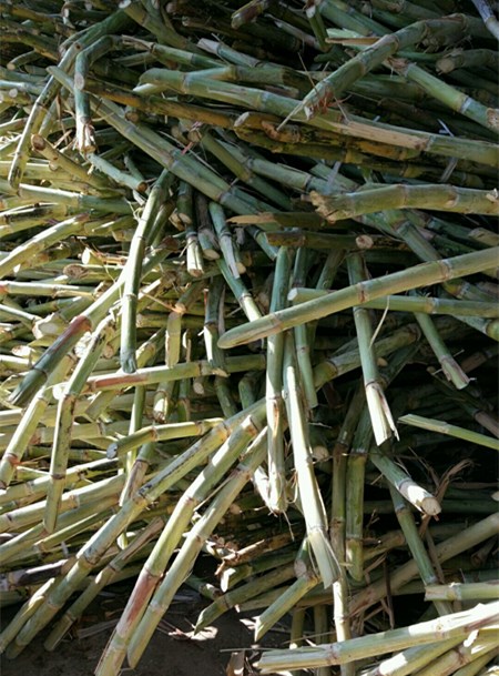 古法红糖熬制小视频,熬红糖视频教程