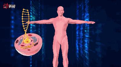 早熟是因为早恋吗,早熟一定等于早恋吗