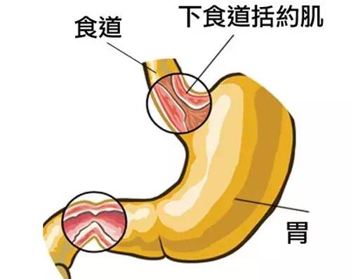 孕妈妈烧心的原因是什么,孕妈妈胃烧心是什么感觉