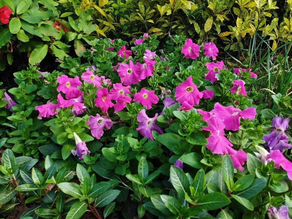 大疆MavicAir全球首发评测:可能是性价比最高的无人机