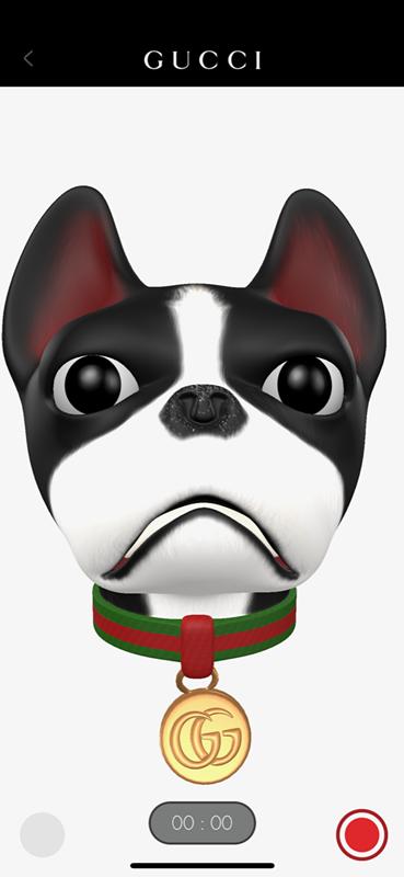 古驰小狗短袖,古驰小狗