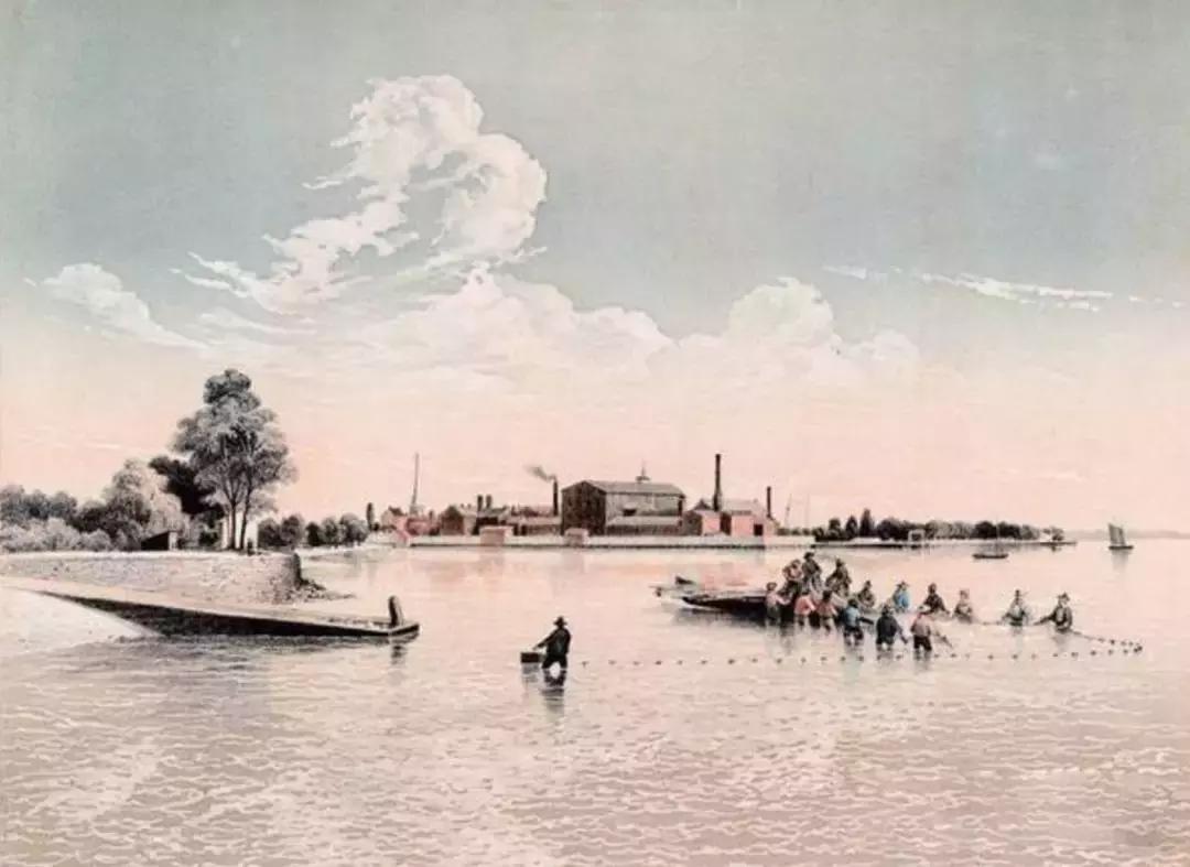 人情味浓厚的中国人,一个臭味相投的人