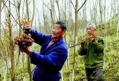 人情味浓厚的中国人,一个臭味相投的人