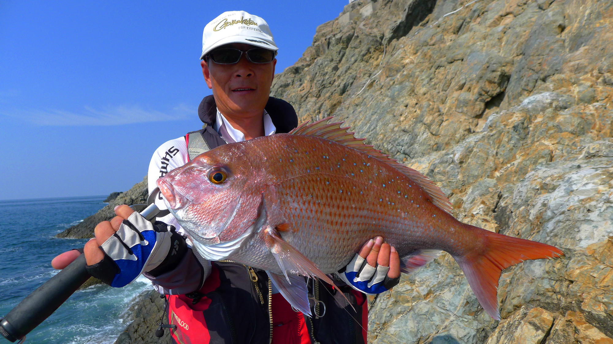 今年第一次钓海鲈鱼,最新钓七星鱼视频