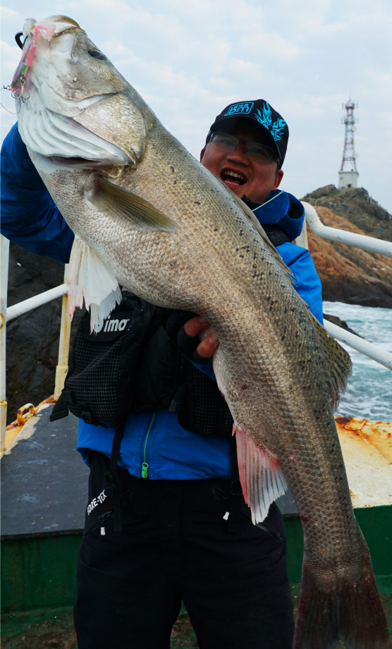 今年第一次钓海鲈鱼,最新钓七星鱼视频