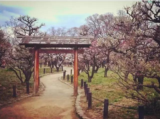 为啥日本自由行首选大阪而非东京,日本自由行忌讳