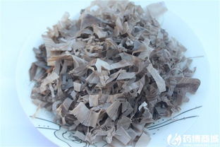 小儿感冒发烧，选小儿热速清颗粒还是小儿豉翘清热颗粒？