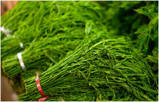 云南的土壤好吗,云南可以吃的土是什么来的