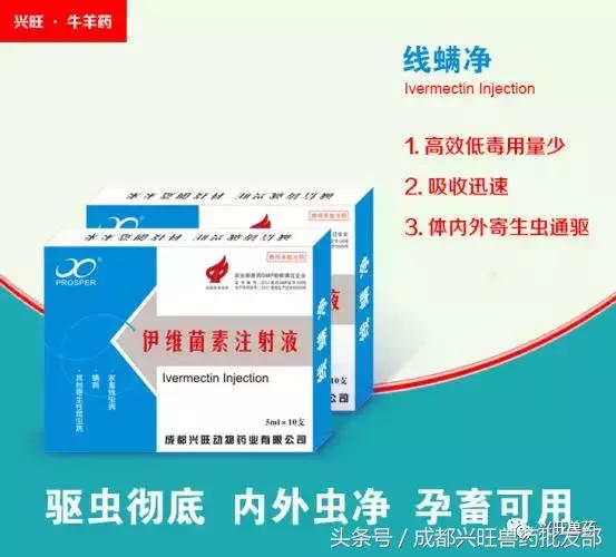 牛眼睛有线虫怎么除虫,牛寄生虫临床表现