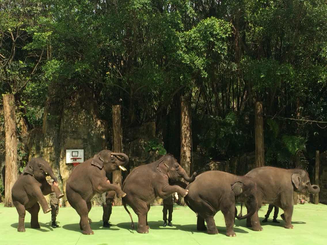 领略丹霞山风景,广东旅游之丹霞山游记