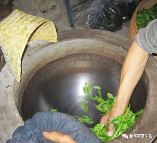 绿茶杀青小技巧,绿茶是怎样杀青