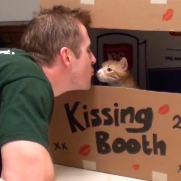 萌橘猫,萌橘猫老板