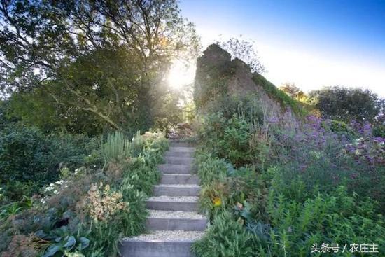 两位英国园艺师却将他们最好的作品留给了自己