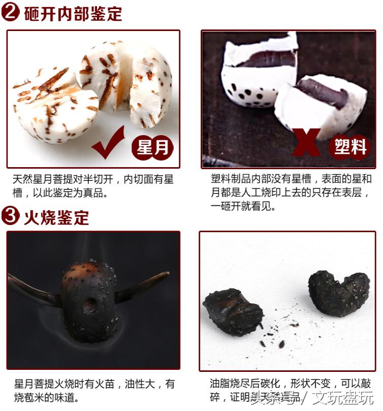 星月菩提真假对照表,各种星月真实图片