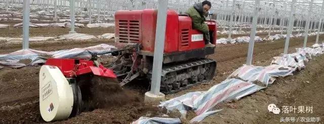 葡萄园机械化除草设备厂家,现代化机械化葡萄园