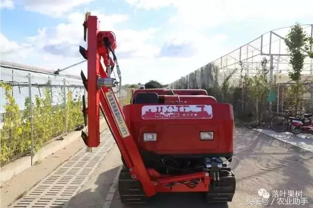 葡萄园机械化除草设备厂家,现代化机械化葡萄园