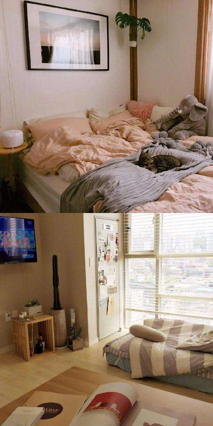 和爱的人,小居大温暖!