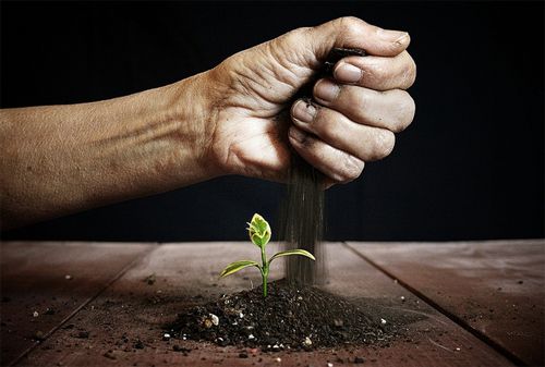 全国p2p网贷行业前十名,接受过风投的网贷平台