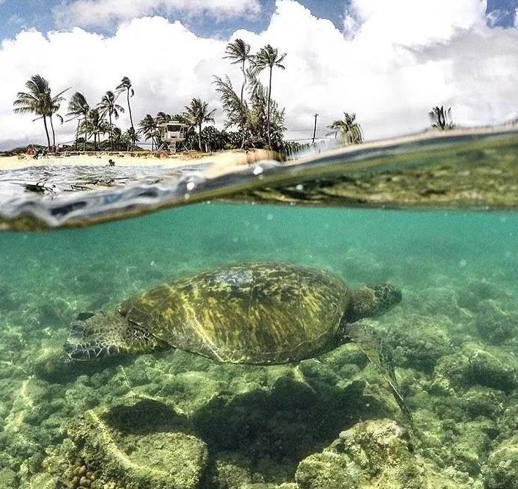 侏罗纪世界公园取景地,侏罗纪公园拍摄地点在哪里