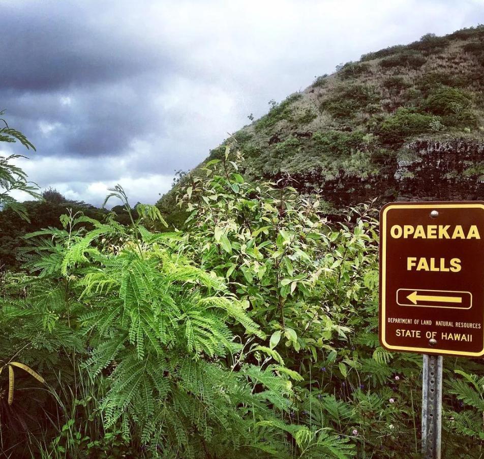 侏罗纪世界公园取景地,侏罗纪公园拍摄地点在哪里