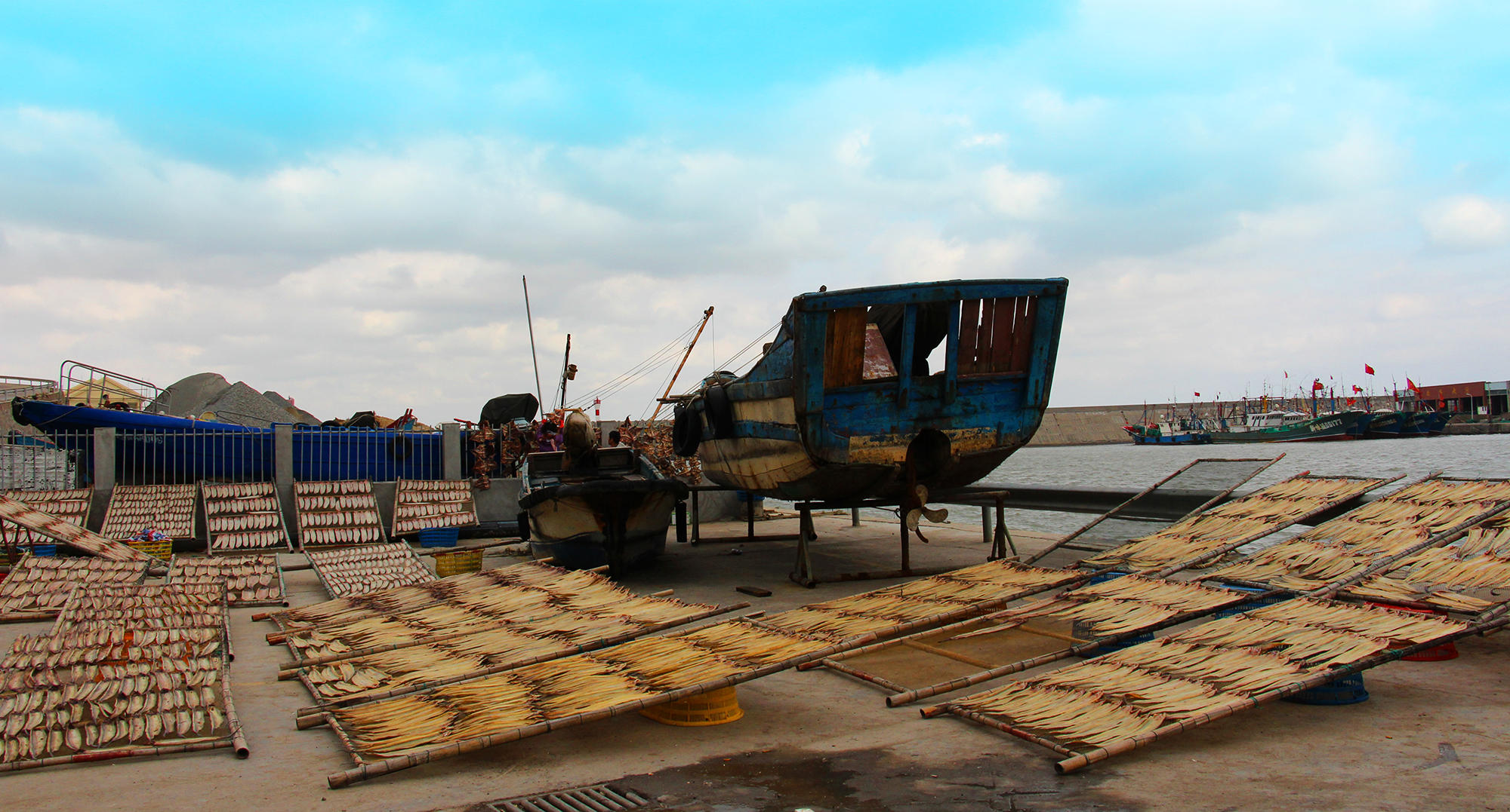 今年第一次钓海鲈鱼,最新钓七星鱼视频