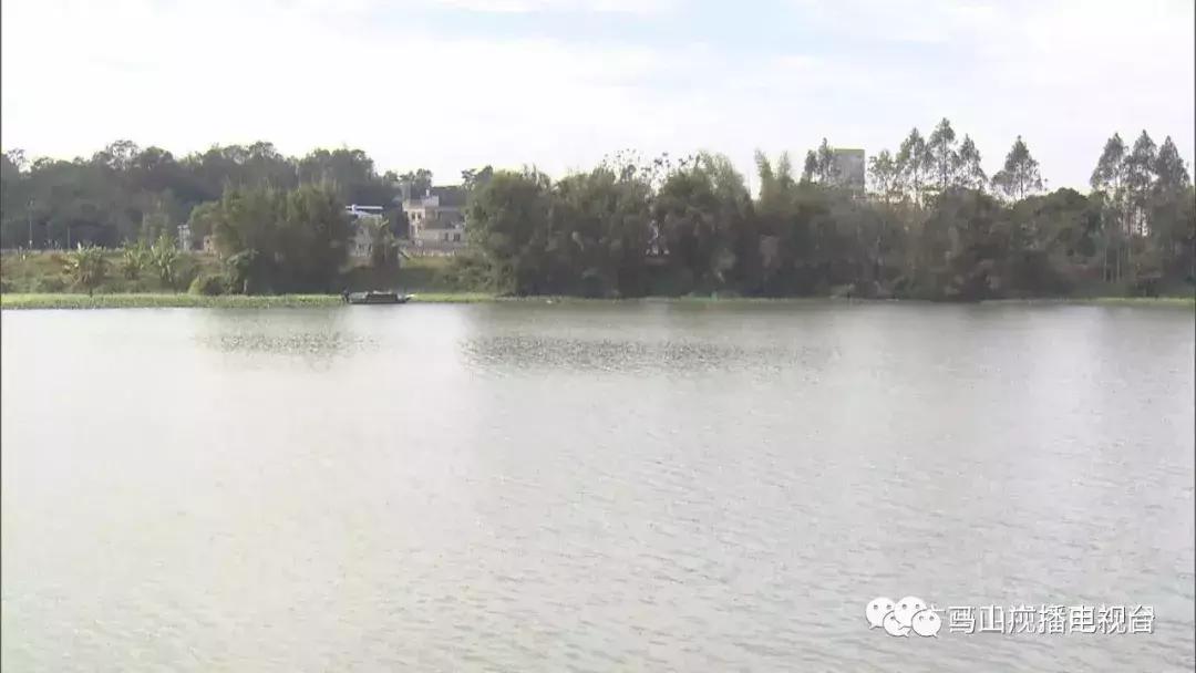 广西生态：“金字招牌”越擦越亮绿水青山变成“金饭碗”