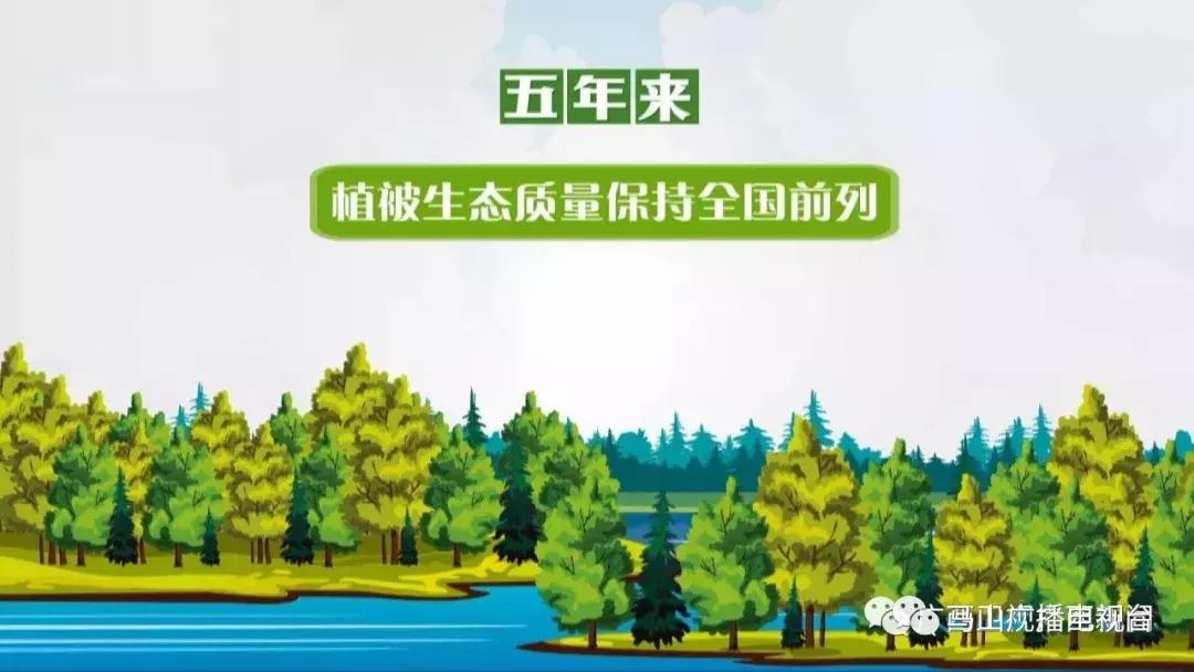 广西生态：“金字招牌”越擦越亮绿水青山变成“金饭碗”